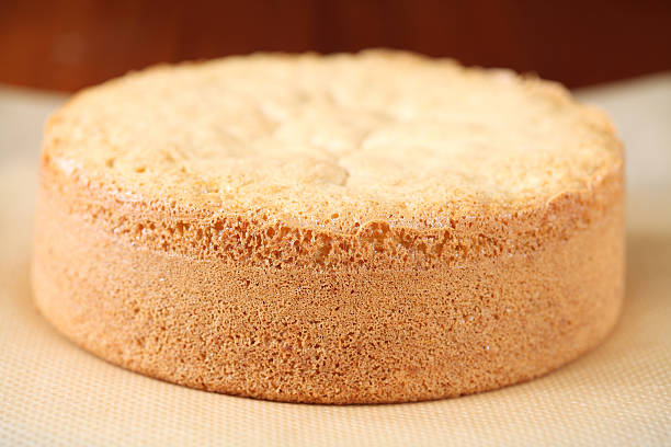 Biscuit Sponge Cake stock photo