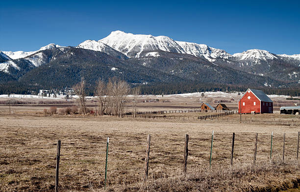 istock Red Barn Endures Mountain Winter Wallowa Whitman National Forest 482353151