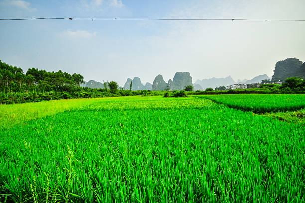 istock Li river mountain landscape in Yangshuo Guilin 482353287