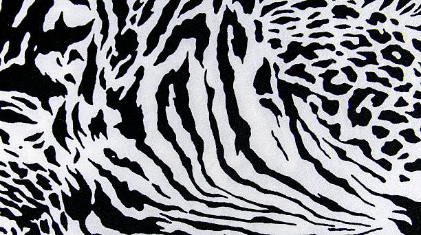 istock texture of print fabric striped zebra and leopard for background 482355704