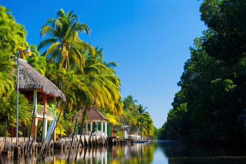 Beautiful tranquil lush green tropical waterway and resort with calm water mirroring the verdant vegetation and palm trees lining the waters edge dotted with thatched buildings