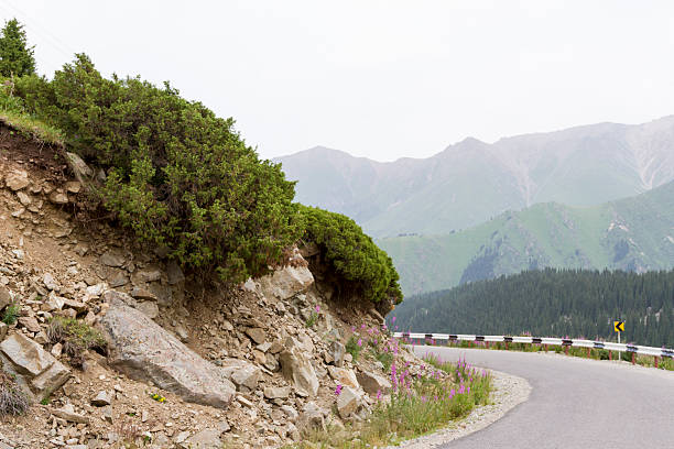 istock mountain slope with grass and shrubs over a cliff 482360704