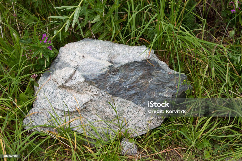 gray granite gray granite stone among the green grass 2015 Stock Photo