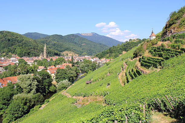 Seen on the city of Thann since the vineyard of Rangen