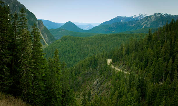istock Mountain Road through the Mt. Rainier State Park 482363047