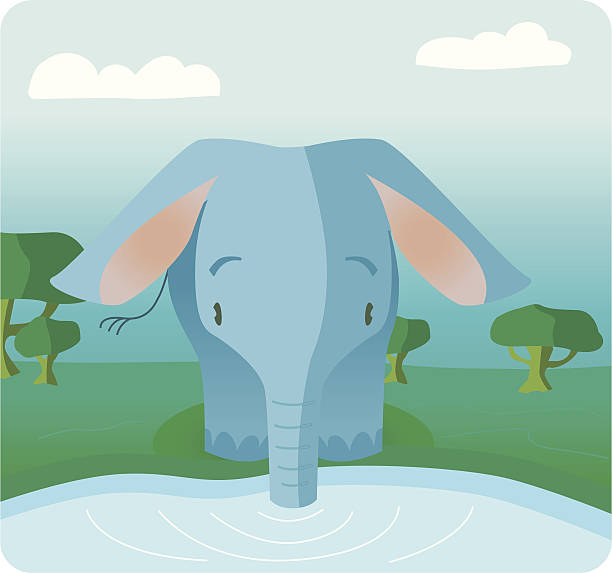 Cute Babyelephant At The Water Stock Illustration - Download Image Now - Drinking  Water, Elephant, Animal - iStock
