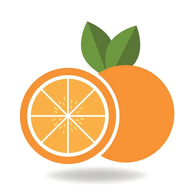 Vector illustration of Orange fruit vector