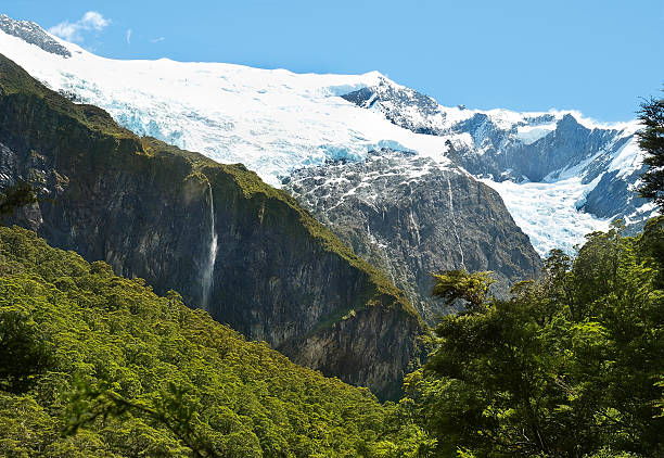 istock Fabulous scenery in New Zealand 482367609