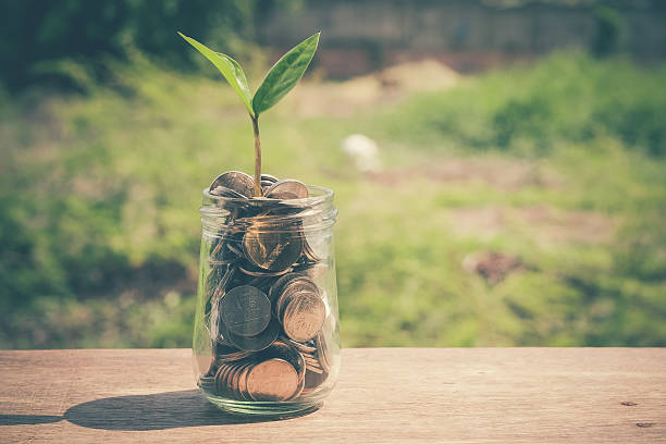 istock plant growing out of coins 482369352