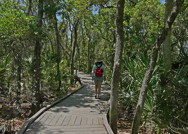 istock Woman walking in the woods 482370736