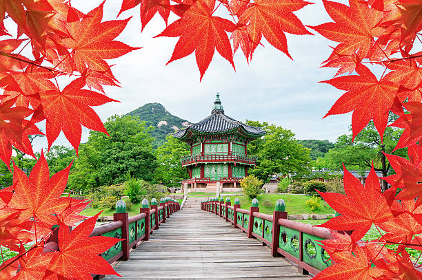 istock Gyeongbokgung Palace in South Korea. 482371286