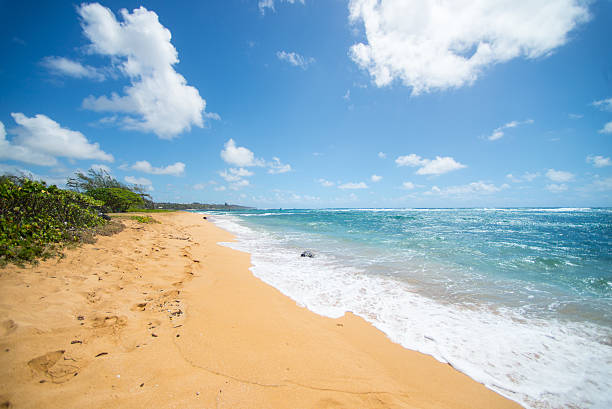 Girl on the beach in Kauai, Hawaii. Kapaa beach.Waves crashing on the beach in Kauai, Hawaii. Kapaa beach.