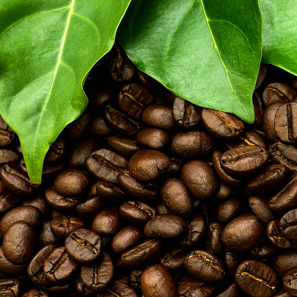 Coffee beans on the wooden