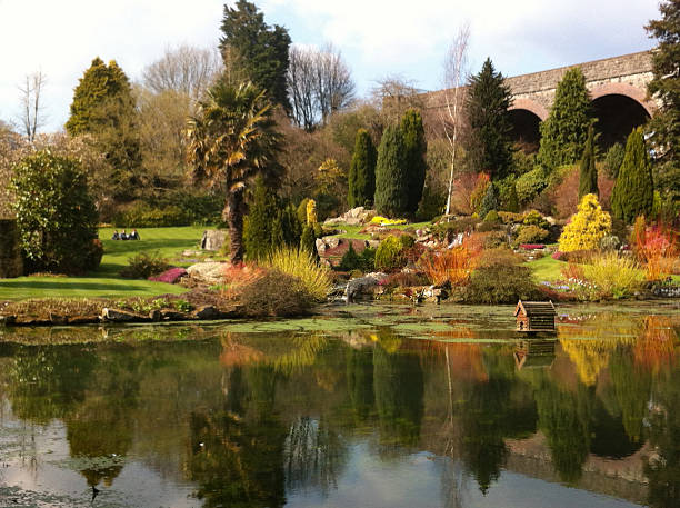 Image of large duck pond with reflections of autumn trees Image of a large duck pond that has been pictured in the autumn, showing the reflections of the distant rock garden and conifer trees. burton sussex stock pictures, royalty-free photos & images