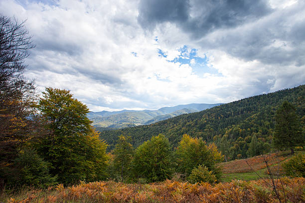 istock mountains view with sky and stones. Carpathian mountains 482376221