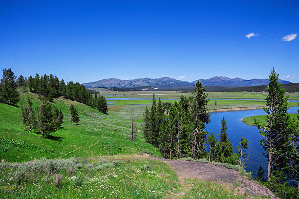 istock The interior space yellowstone national parks, USA 482376436