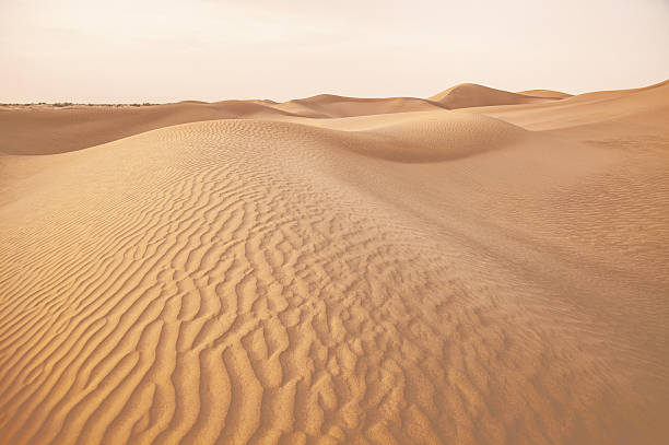 istock Sahara Desert in Morocco 482377766