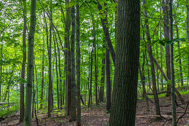 istock Cuyahoga Valley National Park 482378414