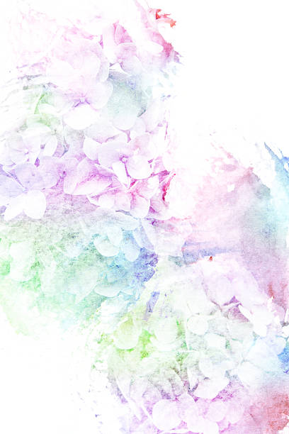 istock Flower watercolor illustration. 482384022
