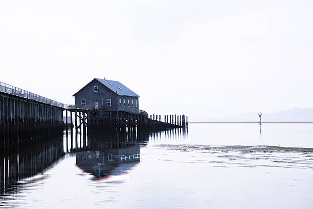 casa sobre estacas na beira do píer na costa do pacífico - pinto wharf - fotografias e filmes do acervo