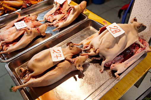 Prepared guinea pigs on tray in Peruvian street market