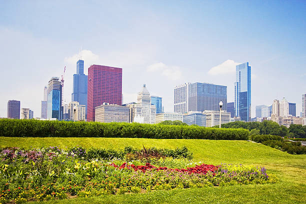 istock Chicago skyline behind a flowerbed 482386548