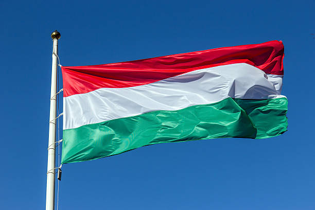 istock Hungary flag waving on the wind 482389438