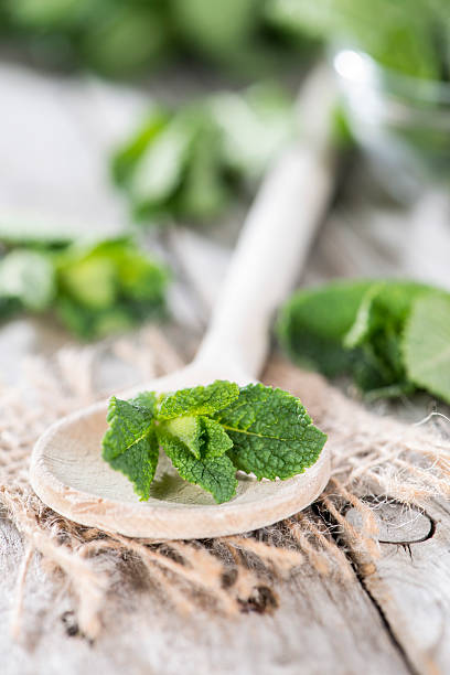 istock Heap of fresh Mint 482389597