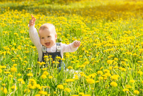 Beautiful happy little baby girl sitting on a green meadow with yellow flowers dandelions on the nature in the park