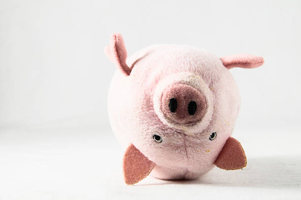 istock the pink pig 482391511