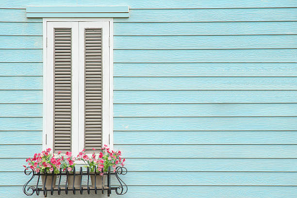 istock European style window and flower pot 482391832