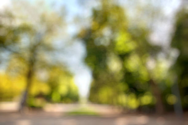 istock Summer city park blurred background 482393514
