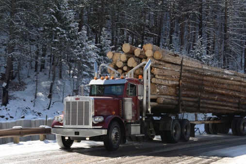 Fort Collins, Colorado, USA - February 26, 2014: A man transporting freshly cut lumber on an icy road in Poudre Canyon outside of Fort Collins, Colorado.
