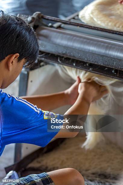 Young Man Cutting Rice Paper To Make Noodles Vietnam Stock Photo - Download Image Now