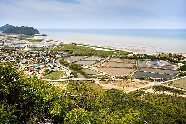 shrimp farm and village near sea stock photo