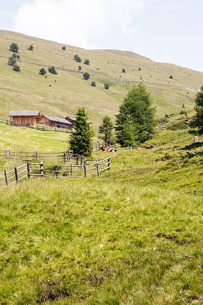 山の中の農場 - country road fence road dolomites ストックフォトと画像