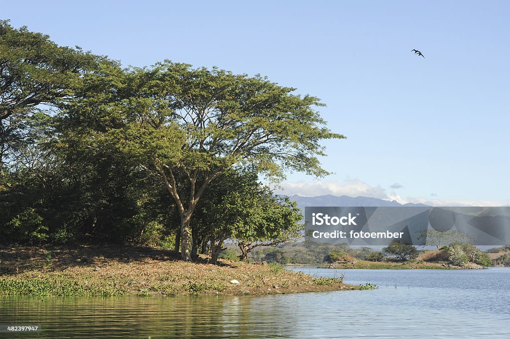 Bird island on the lake of Suchitlan near Suchitoto Bird island on the lake of Suchitlan near Suchitoto on El Salvador El Salvador Stock Photo