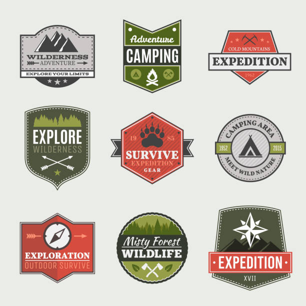 ilustrações de stock, clip art, desenhos animados e ícones de retro emblemas de acampamento - camping campfire boy scout girl scout