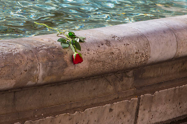 A wilted red rose lying on the edge of the Trevi Fountain in Rome.
