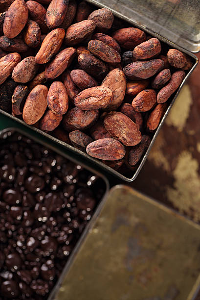 istock roasted cocoa chocolate beans in Vintage heavy cast pan 482404904