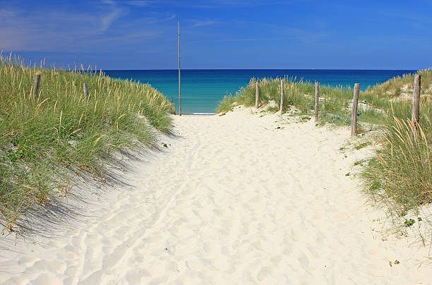 istock Beach at the Atlantic Ocean, France 482406680