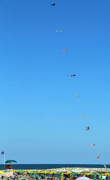 istock kites flying high in the sky above the beach 482407318