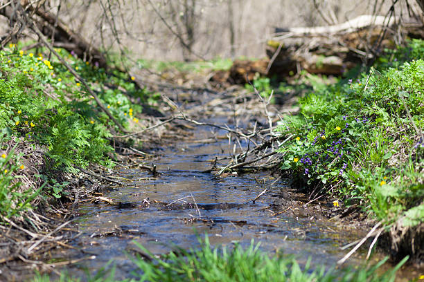 сreek в лесу - waterfall river stream mountain стоковые фото и изображения