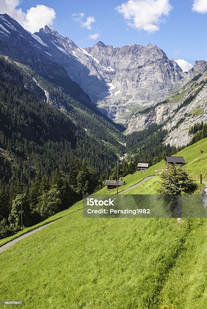 Видом на Швейцарские Альпы.  Красивые Gimmelwald village, Центральная Sw - Стоковые фото Gimmelwald роялти-фри