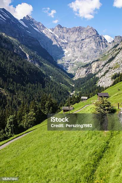 Видом На Швейцарские Альпы Красивые Gimmelwald Village Центральная Sw — стоковые фотографии и другие картинки Gimmelwald
