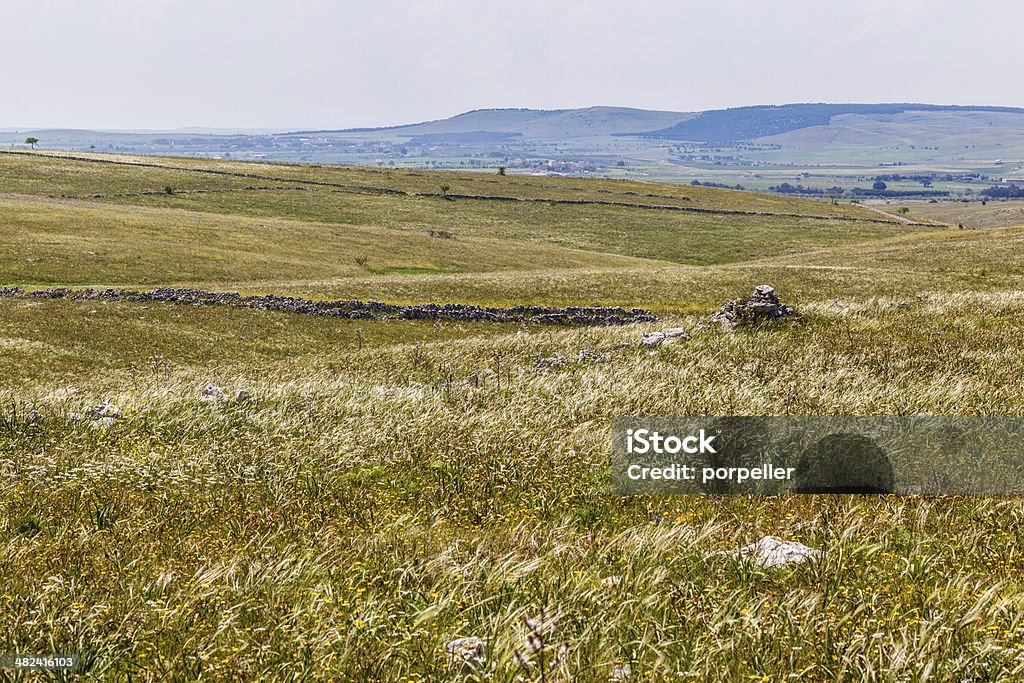 Italian countryside a beautiful rural landscape with some rocks. South of Italy, Apulia Agricultural Field Stock Photo
