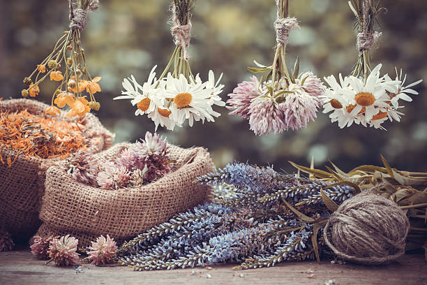 istock Herbs bunches and hessian bags with dried plants 482420608