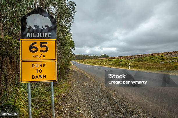 Wombat Sign Stock Photo - Download Image Now - 2015, Animal Wildlife, Australia
