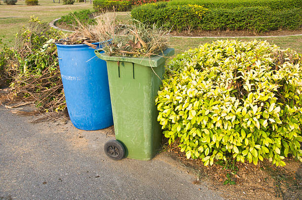 istock blue and green bins , Recycling bins , Public trash 482423412