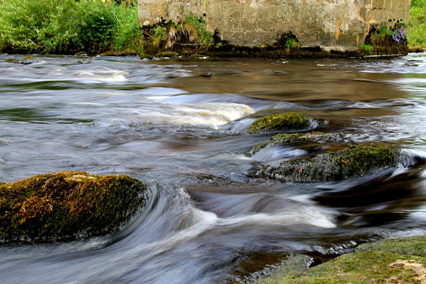 Blurred water, river wharfe, North Yorkshire, UK, under stone bridge The River Wharfe, flowing under the bridge at Barden, in the Yorkshire Dales. The stones and grasses are in sharp focus, while the water has a blurred effect. Taken with a Canon EOS 1100D digital camera on a summers mid day. wharfe river photos stock pictures, royalty-free photos & images